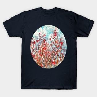 I Scratch the Sky T-Shirt